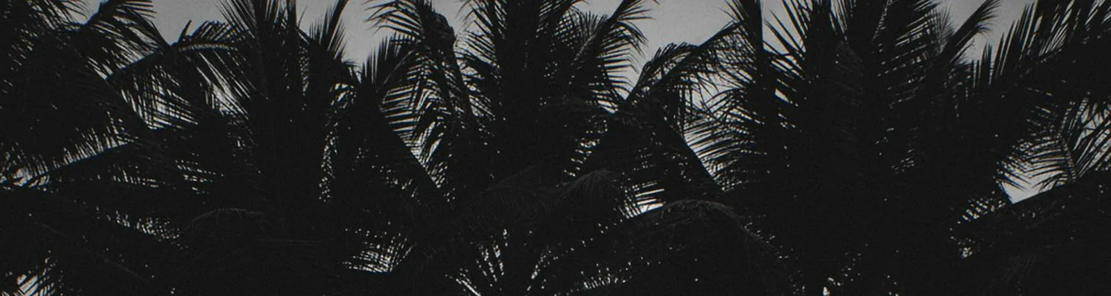Rvmvn