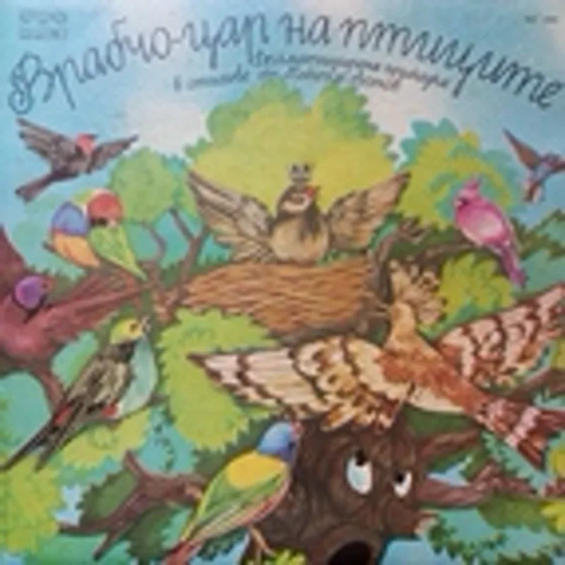 Димитър Вачев