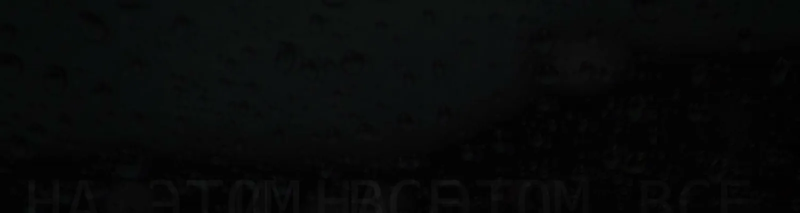 Рома Штайн