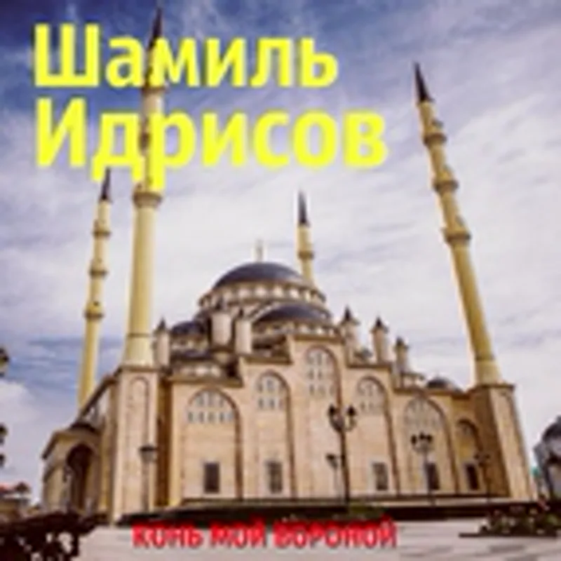 Фото исполнителя Шамиль Идрисов
