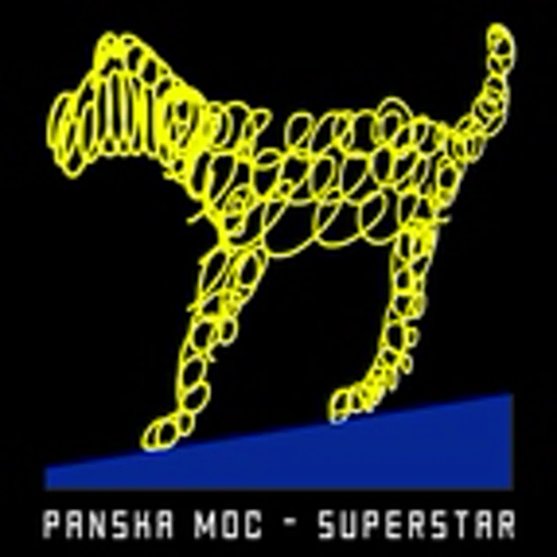 Фото исполнителя Panska Moc
