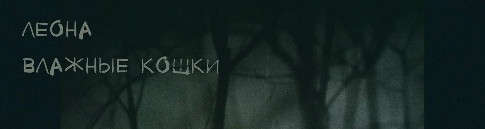 Фото исполнителя Влажные кошки