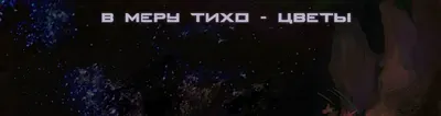 В МЕРУ ТИХО