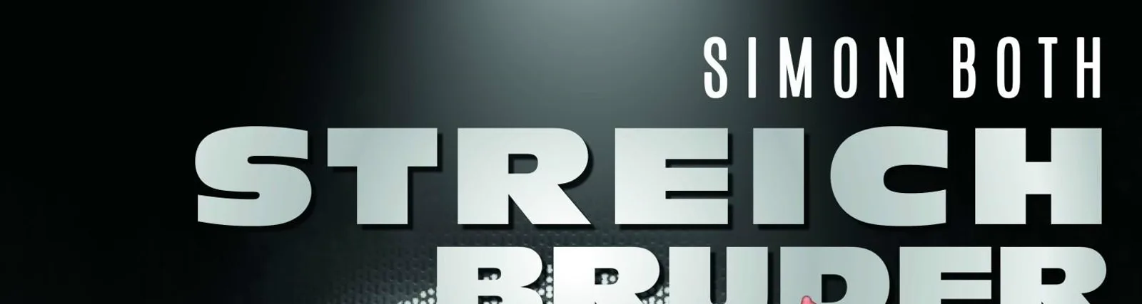 Фото исполнителя Streichbruder