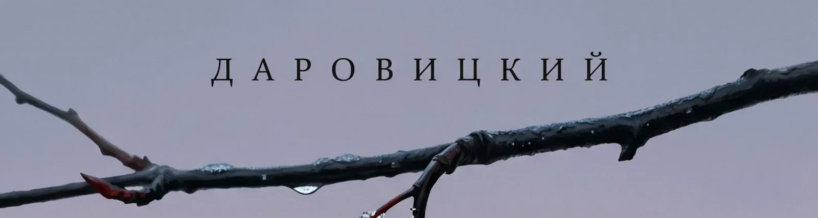 Фото исполнителя ДАРОВИЦКИЙ