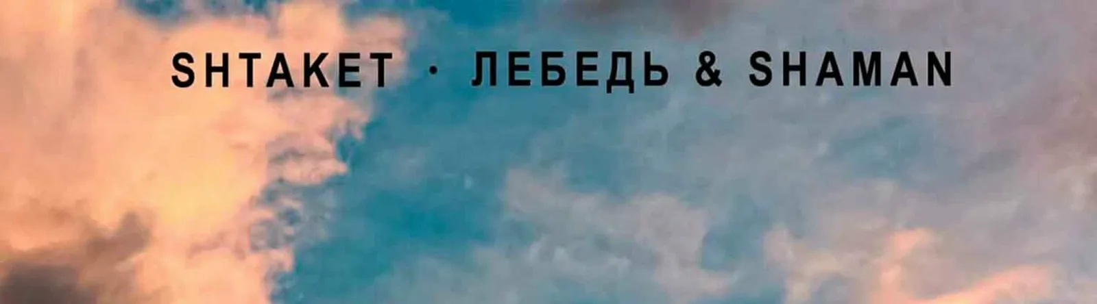 Фото исполнителя Лебедь & Shaman