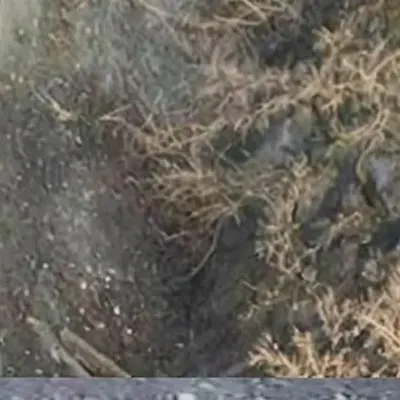 oxarakterizovan