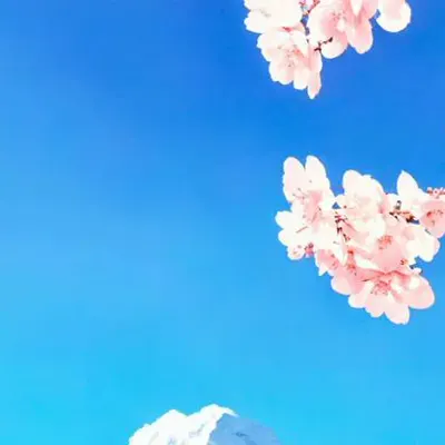 DKXST