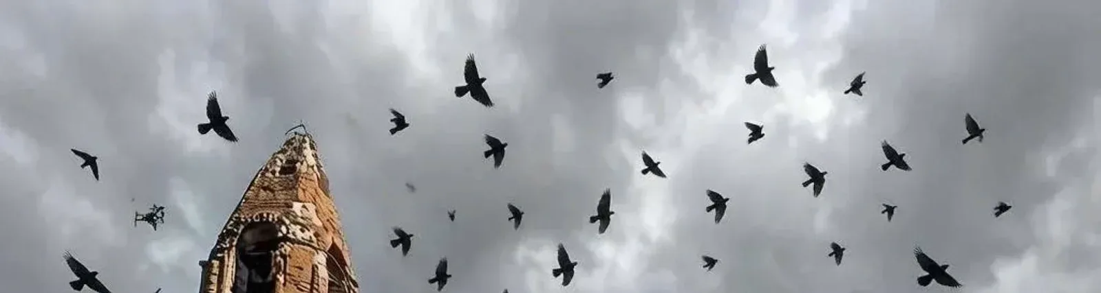 Александр Ванюшкин