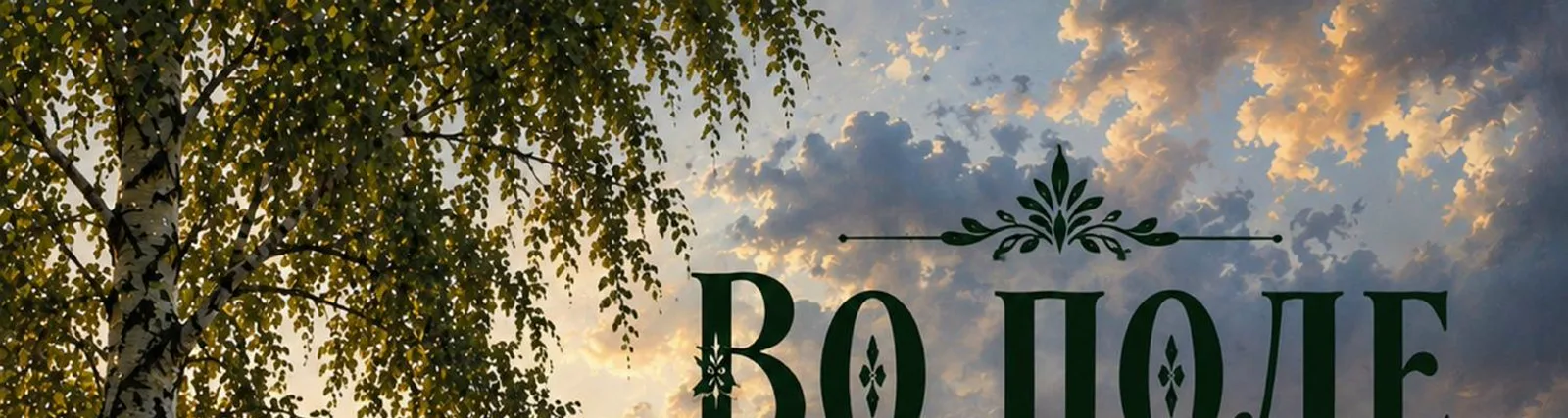 Фото исполнителя Виола