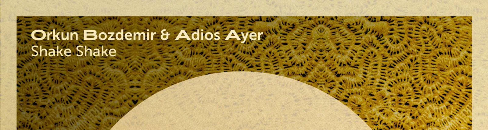 Фото исполнителя ADIOS AYER