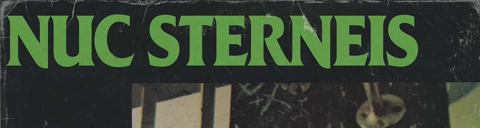 Sterneis