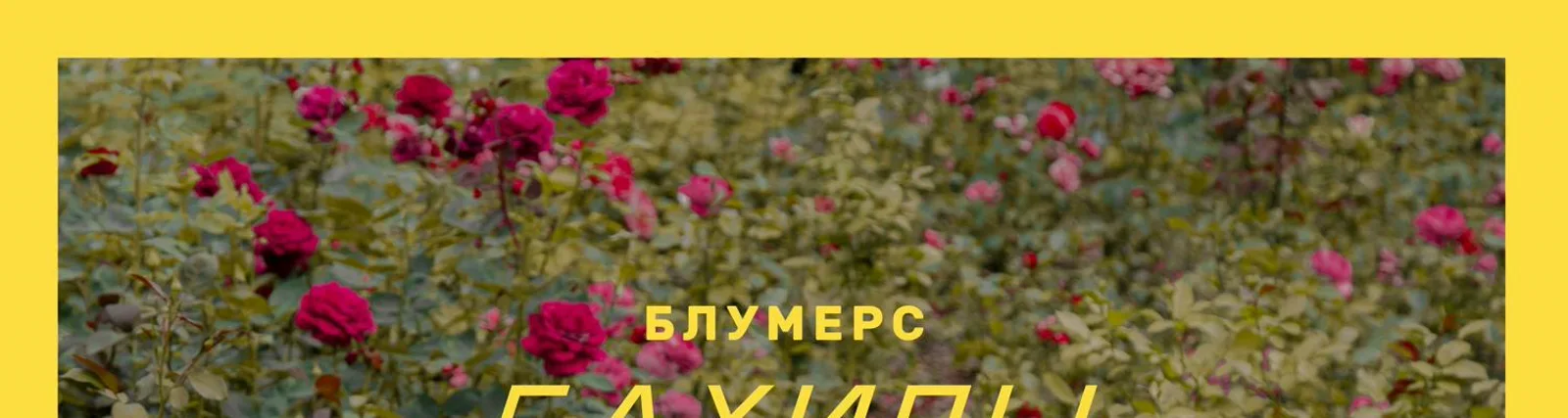 Фото исполнителя Anna Peaches