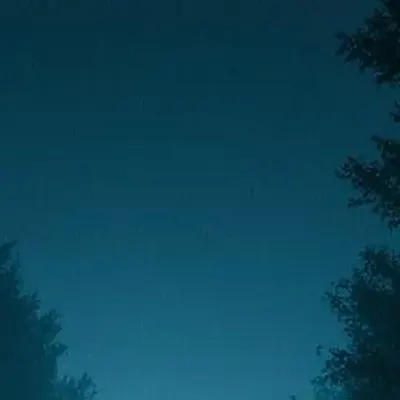 loneliness club
