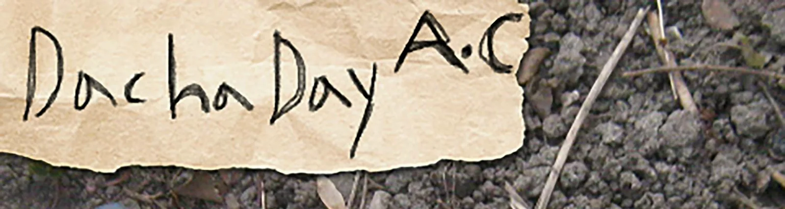 Фото исполнителя Dacha Day