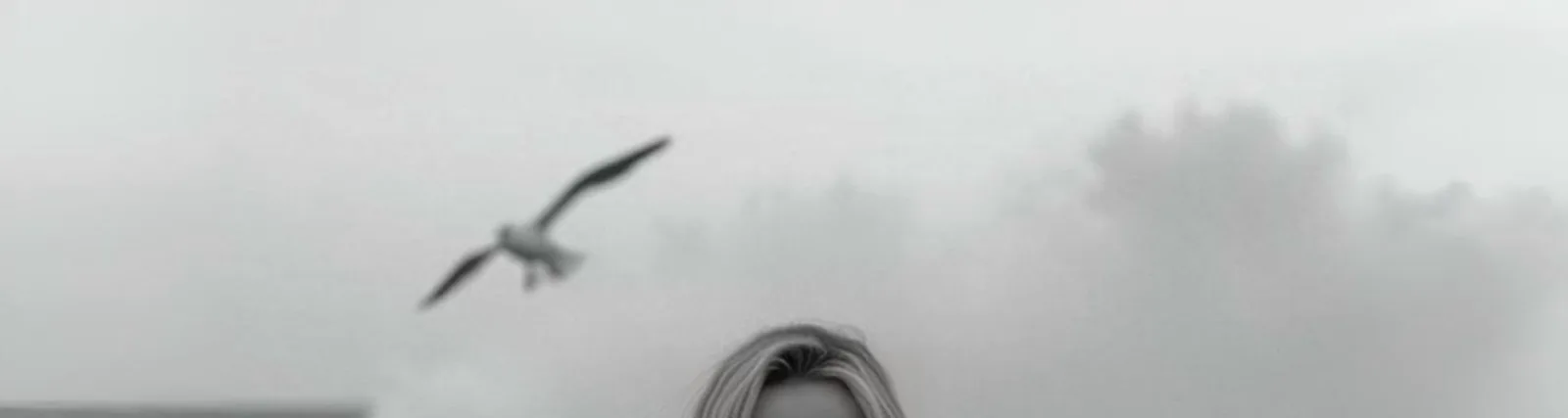 Фото исполнителя sky ivi music
