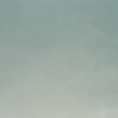 Бахилы