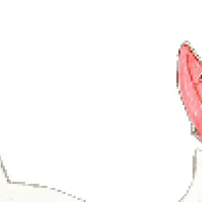 zhunii