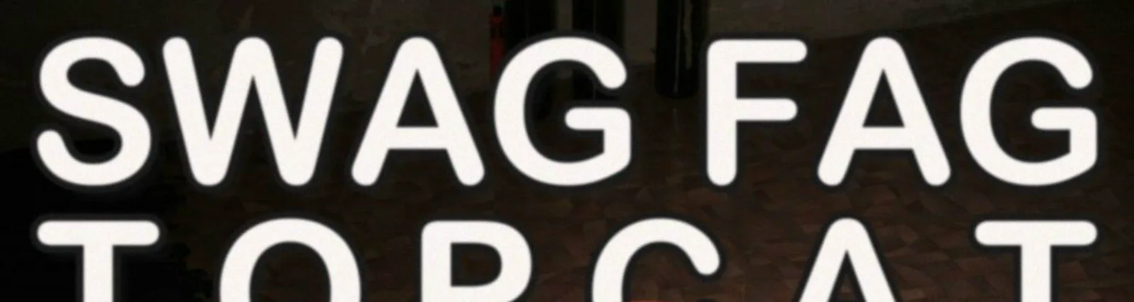 Фото исполнителя Swag Fag