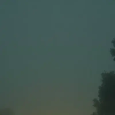 altwavy