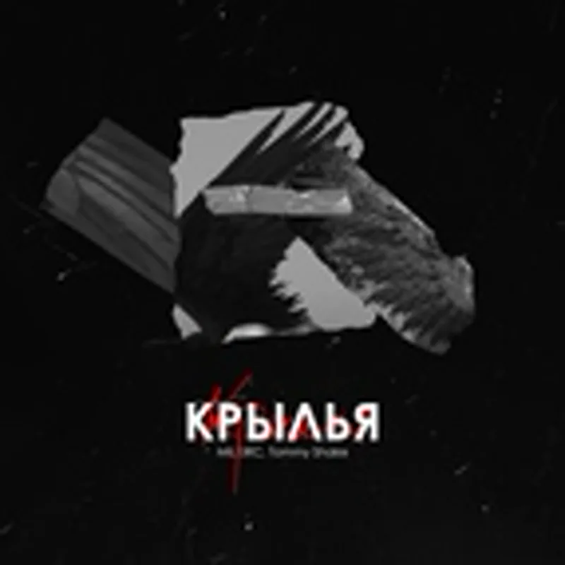 Фото исполнителя MILKIRC