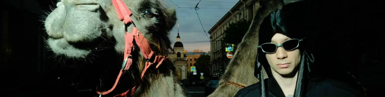 Фото исполнителя SOTO LOWKEY