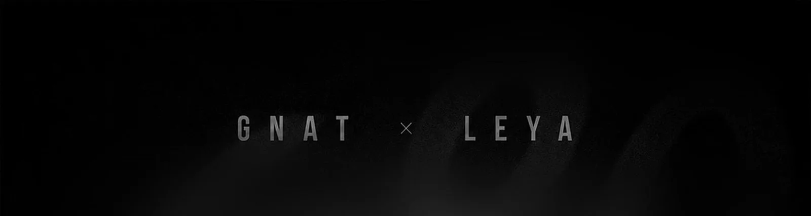 Фото исполнителя LEYA