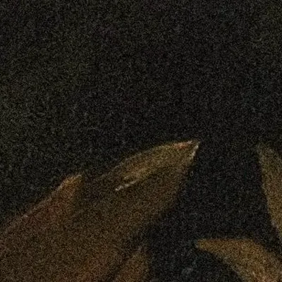 nightvibe.