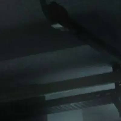 Нери