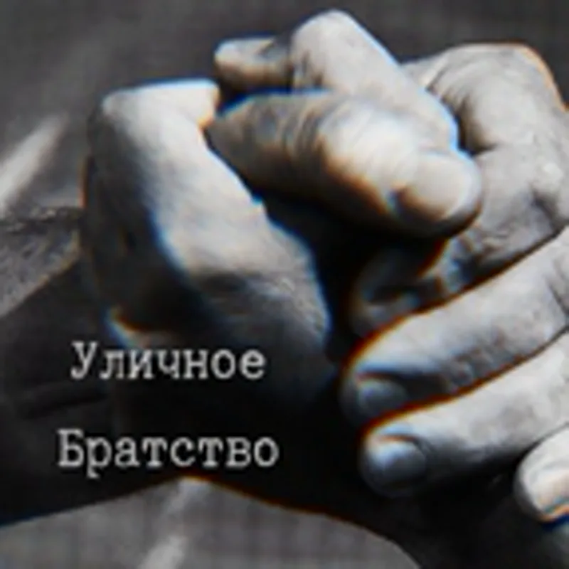Фото исполнителя Львиная доля