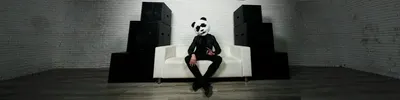 Sad Panda