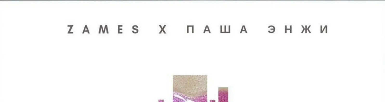 Паша Энжи