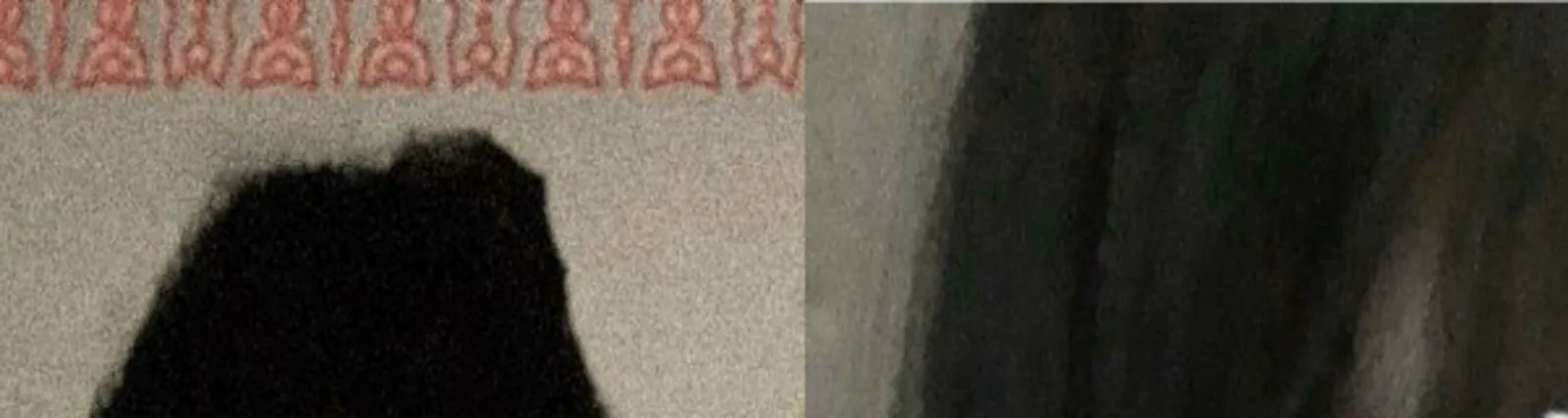 zxckawxsaki