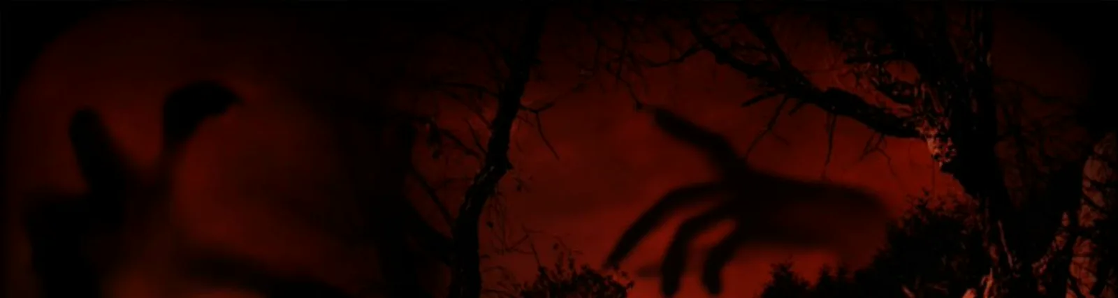 Фото исполнителя LITTER