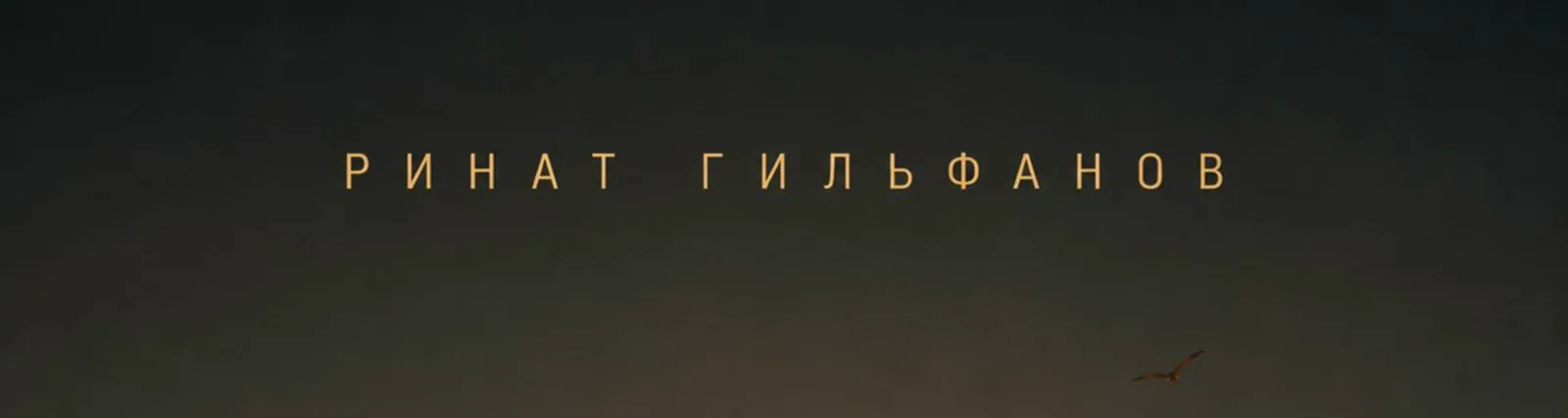 Фото исполнителя Ринат Гильфанов