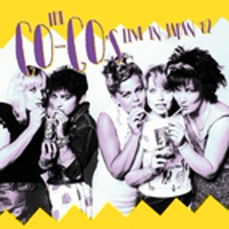 Фото исполнителя The Go-Go's