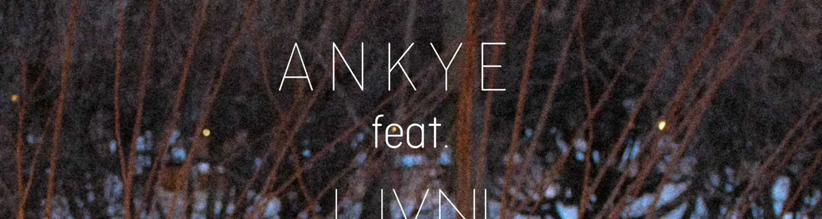 Фото исполнителя ANKYE