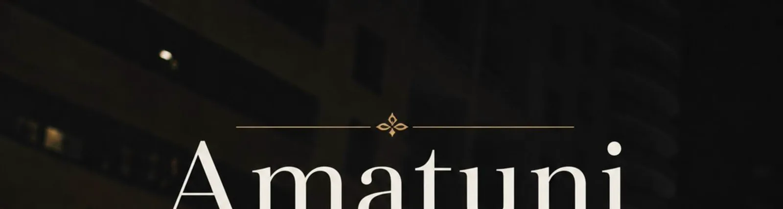 Фото исполнителя Amatuni