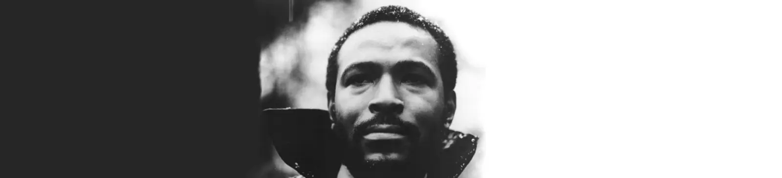 Фото исполнителя Marvin Gaye