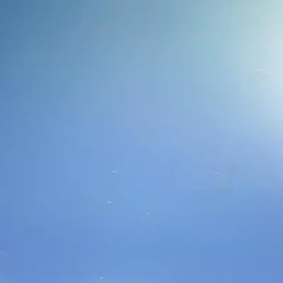 VLNCRSH