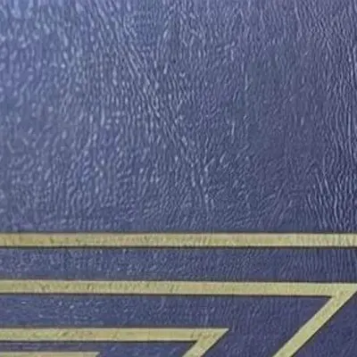 Выпускница