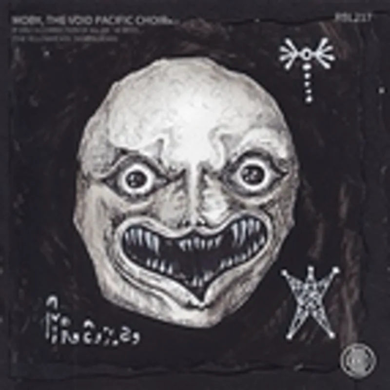 Фото исполнителя The Void Pacific Choir