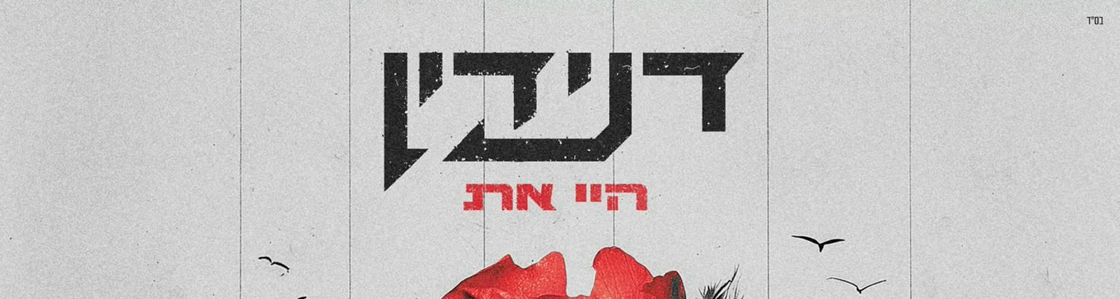 דנידין