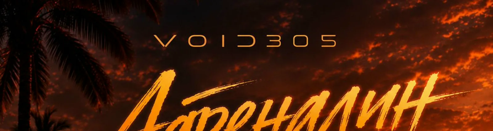 Фото исполнителя VOID305