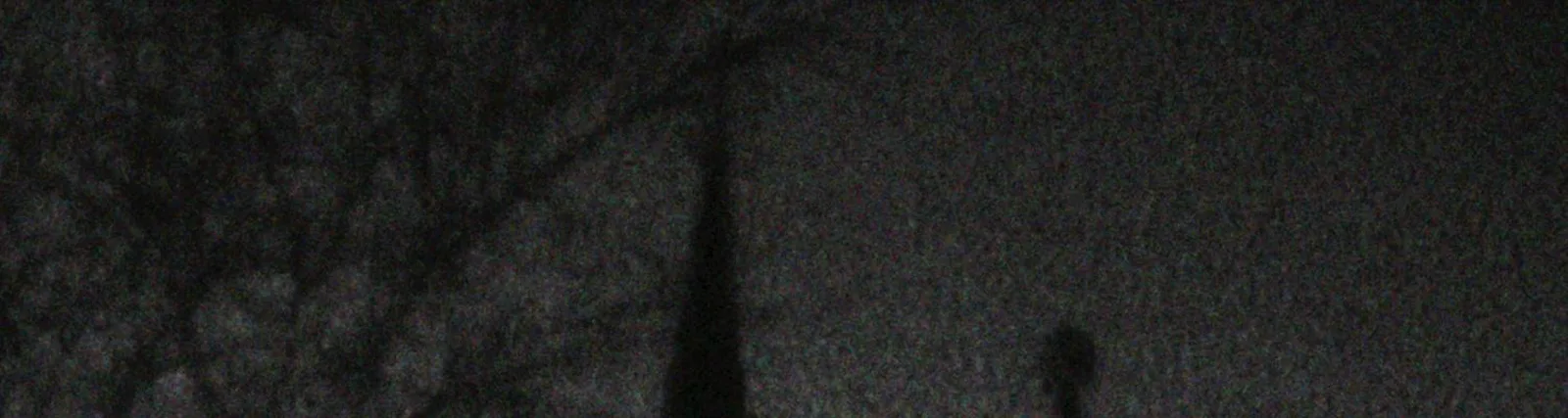 Grafi