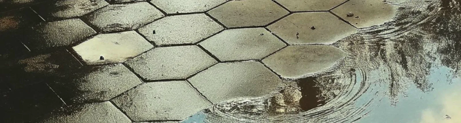 Фото исполнителя Volanz
