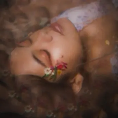 Dolly Ave