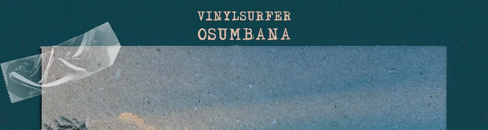 Фото исполнителя Vinylsurfer