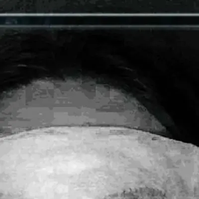 Svntxmvlx