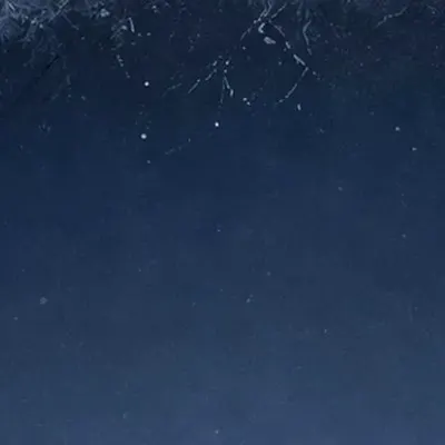 FROSTBITE